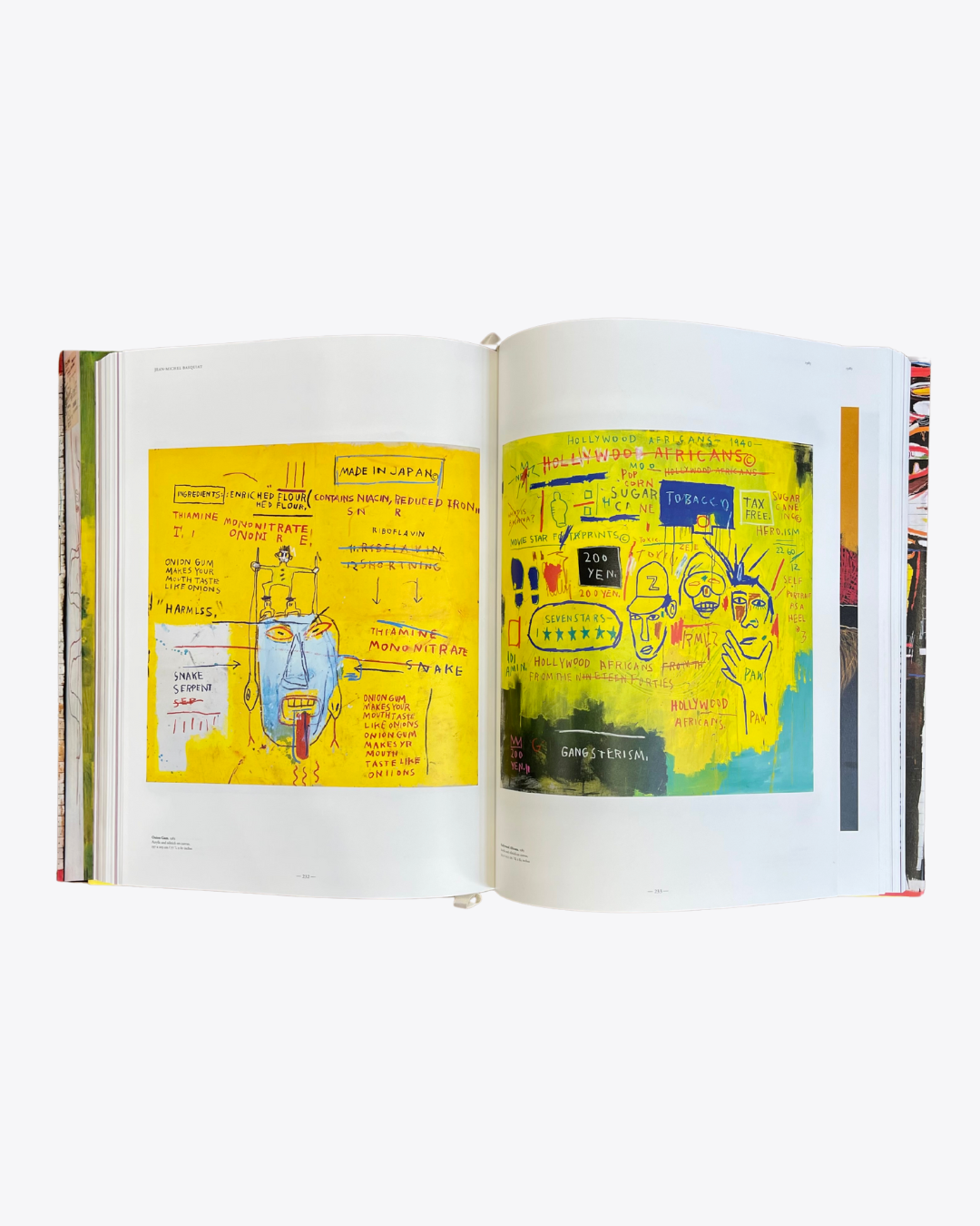 Livre Jean-Michel Basquiat XXL