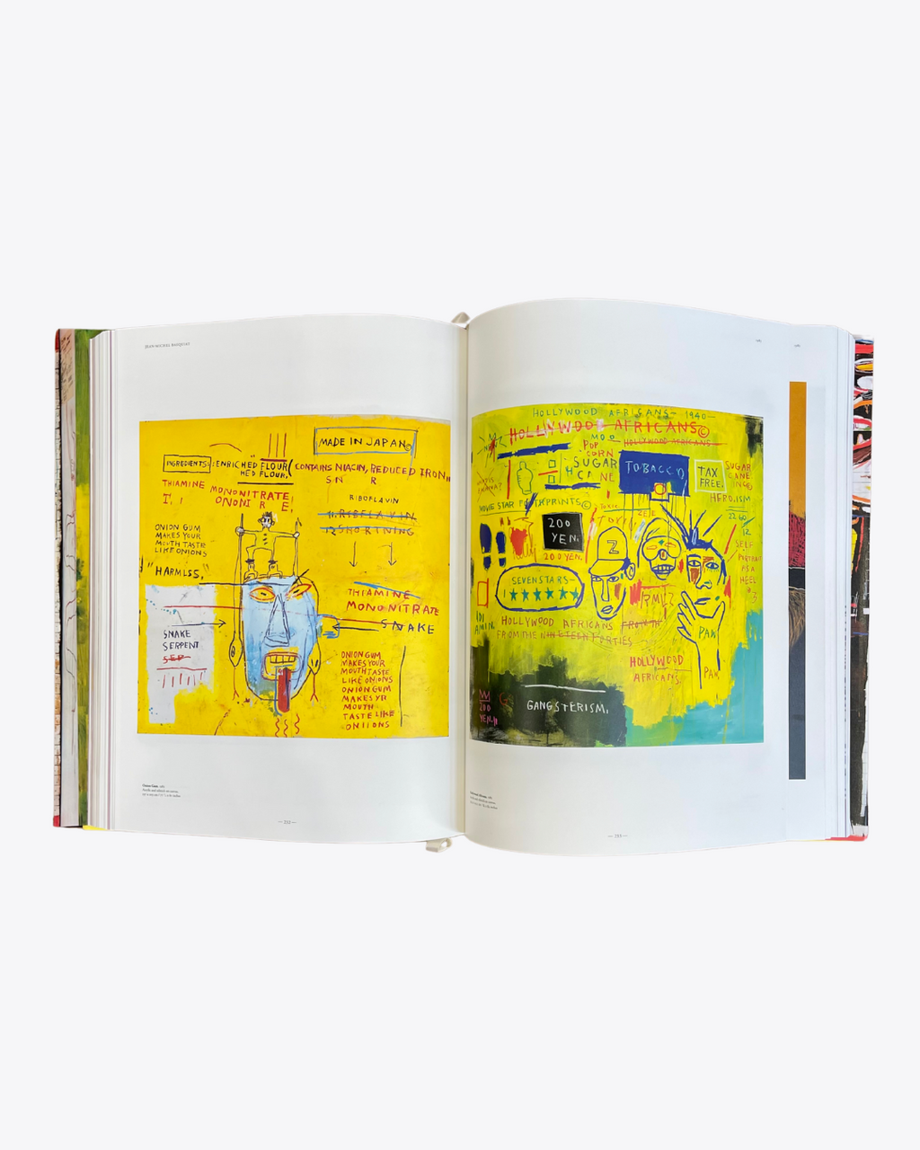 Jean-Michel Basquiat XXL Book