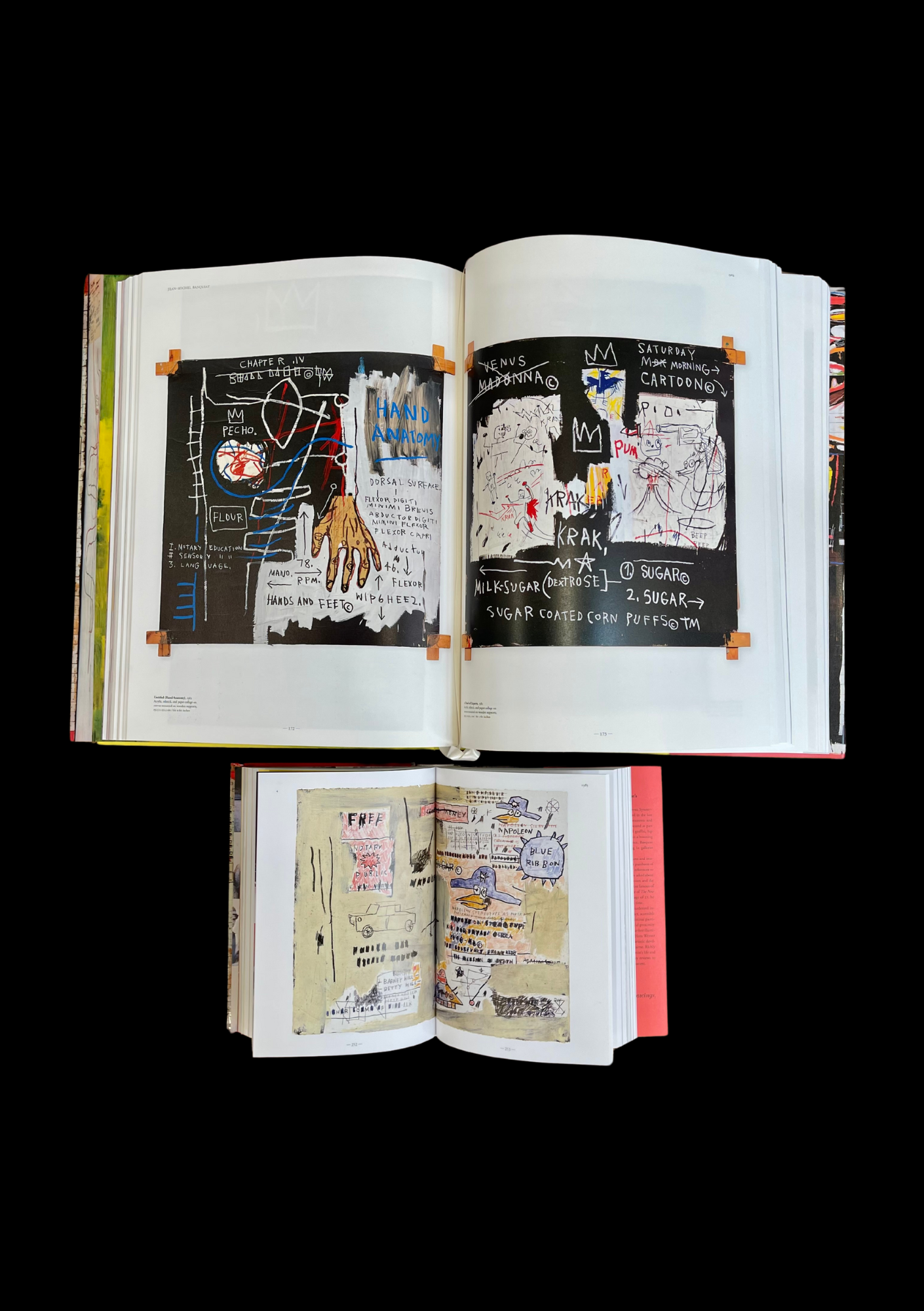 Livre Jean-Michel Basquiat XXL