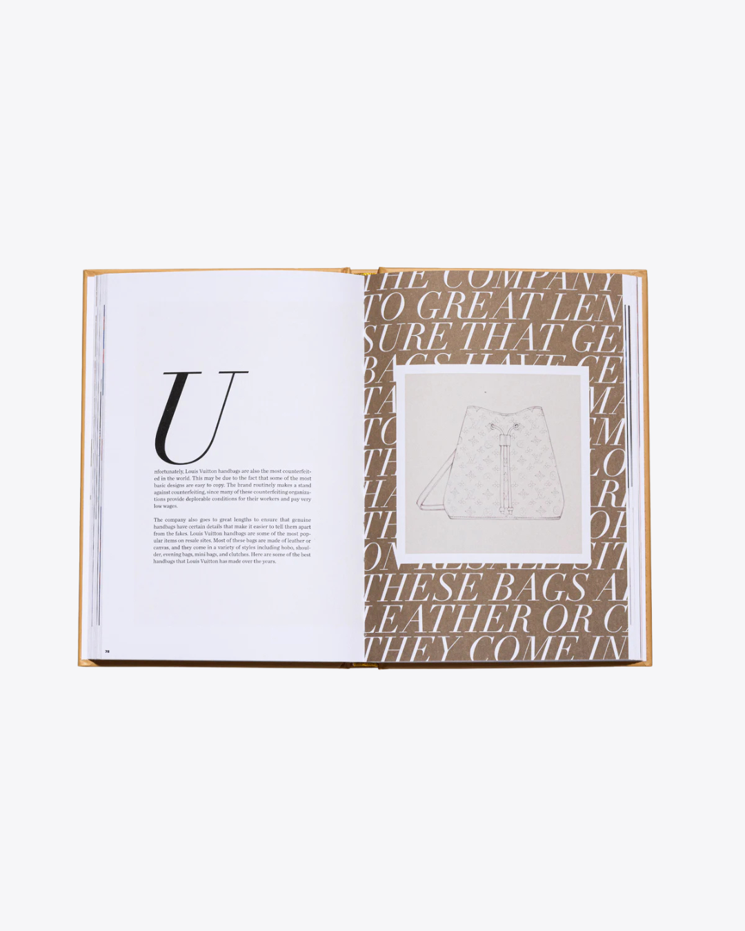 Livre The Essence of Louis Vuitton