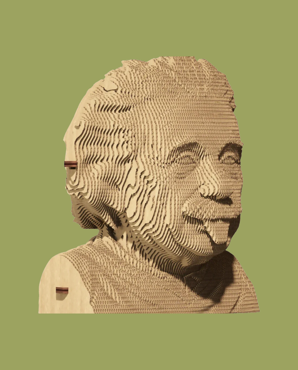 Einstein Carton Puzzle