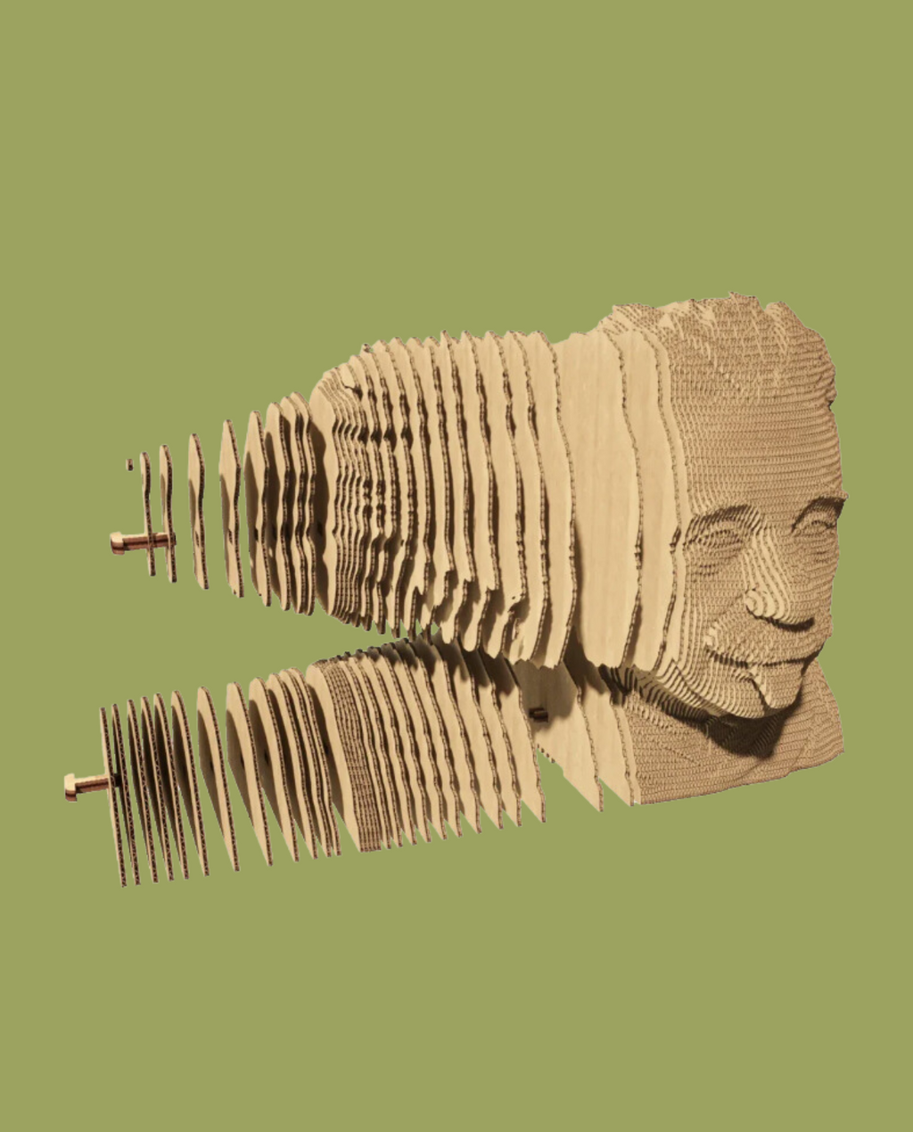 Einstein Carton Puzzle