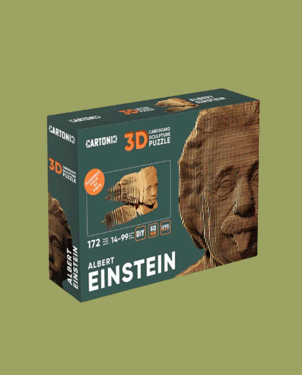 Einstein Carton Puzzle