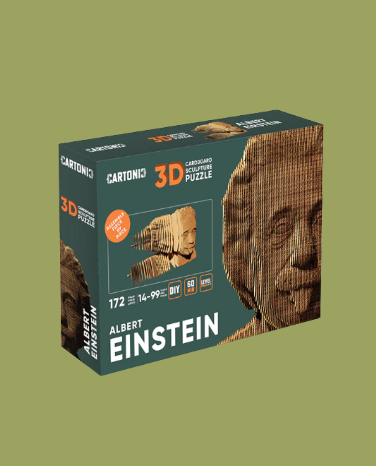 Puzzle Einstein Cartonic